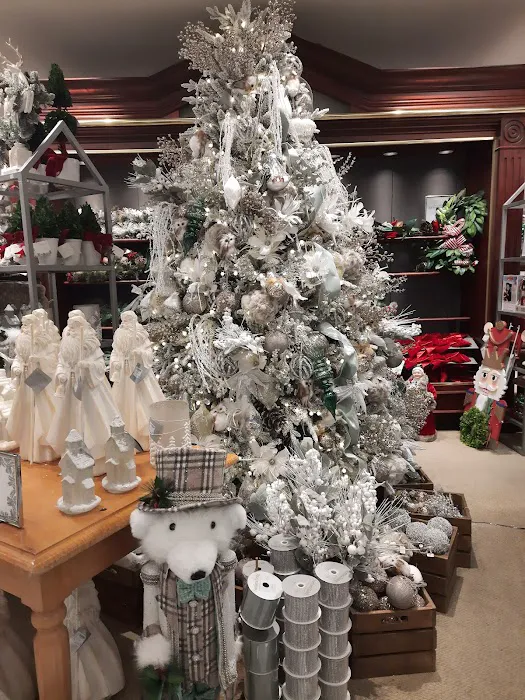 Dillard's 7