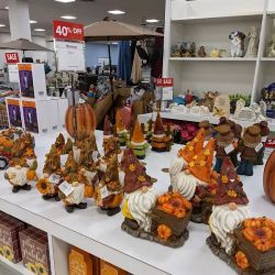 Boscov's ico