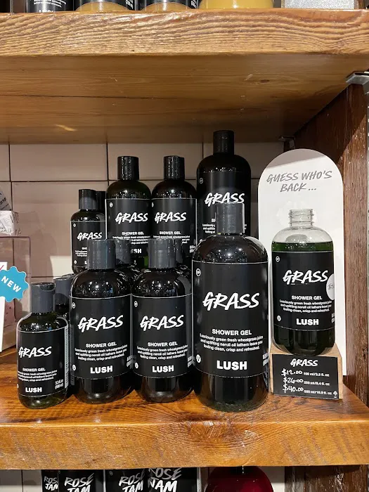 Lush Cosmetics Providence 2