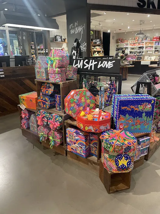 Lush Cosmetics Providence 4