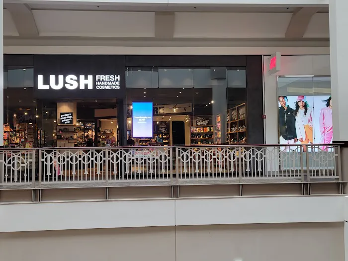 Lush Cosmetics Providence 6