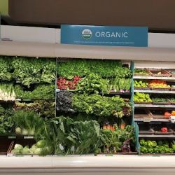 Publix Super Market at Zelda Place ico