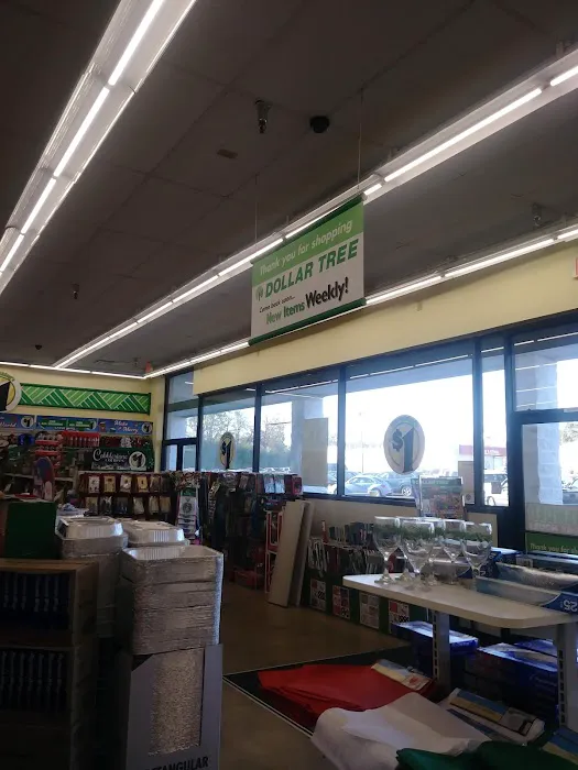 Dollar Tree 2