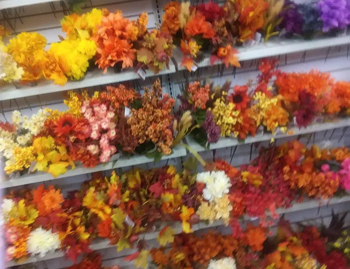 Dollar Tree 6