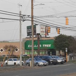 Dollar Tree ico