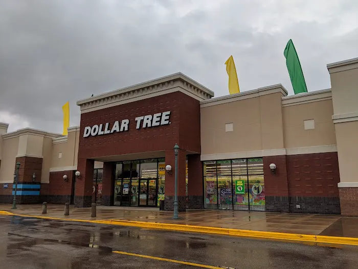 Dollar Tree 1