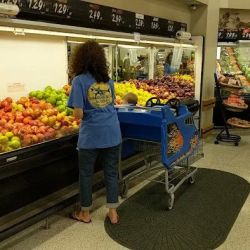 Maxwell Commissary ico