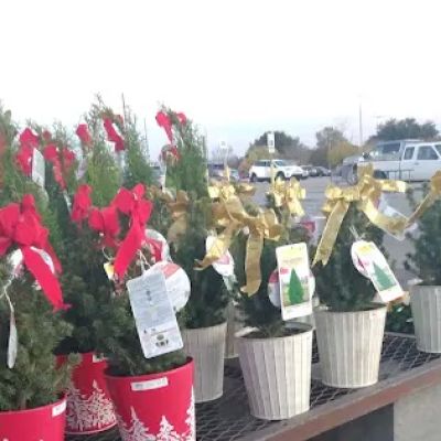 Lowe's Garden Center