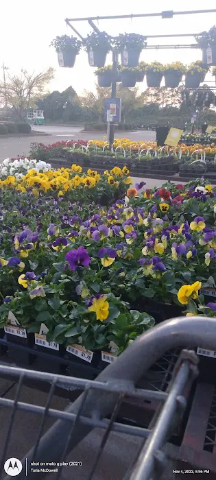 Lowe's Garden Center 4