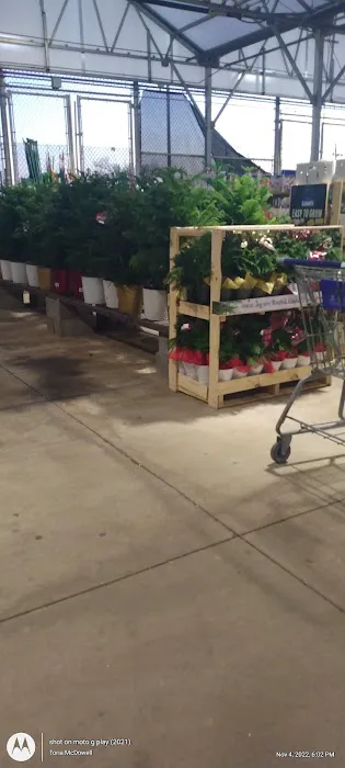 Lowe's Garden Center 8