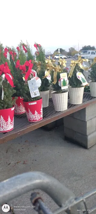Lowe's Garden Center 2