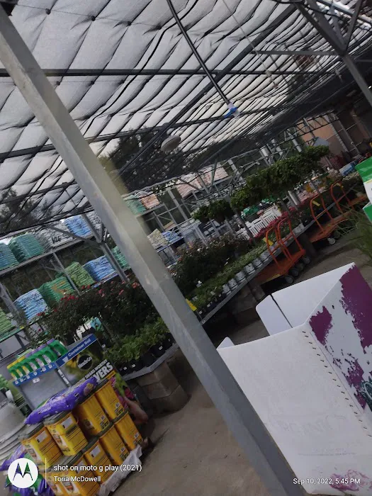 The Home Depot 2