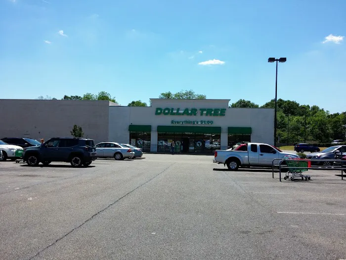 Dollar Tree 2
