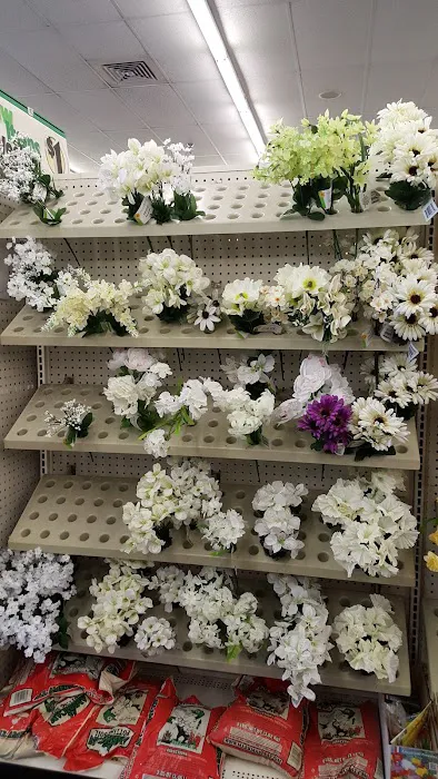 Dollar Tree 5