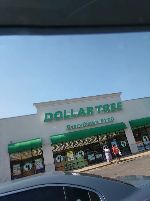 Dollar Tree 7