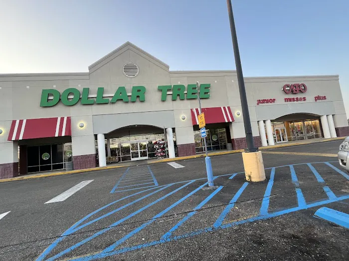 Dollar Tree 8