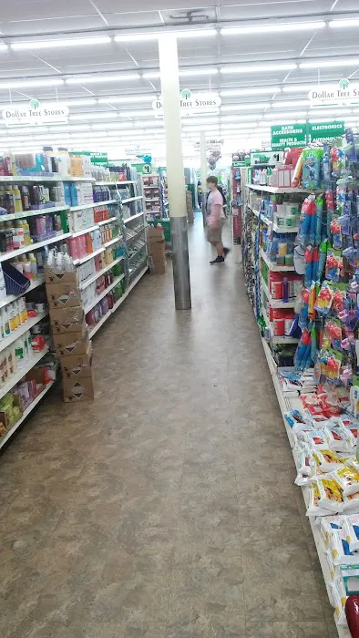 Dollar Tree 6