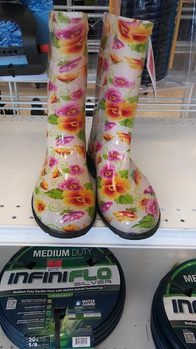 Ross Dress for Less 6