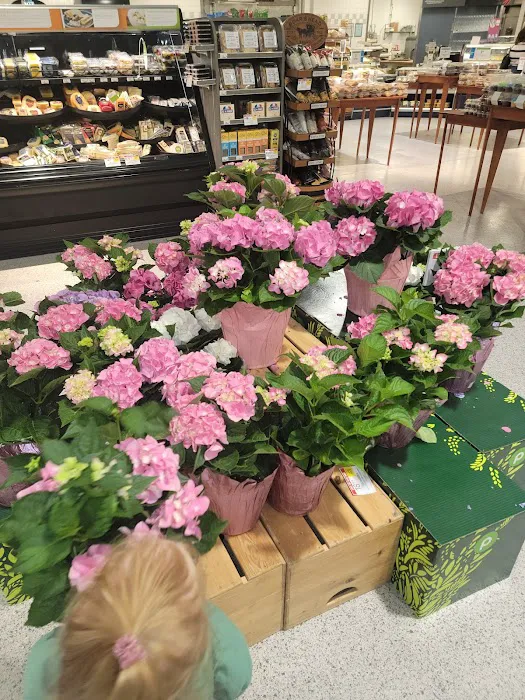 Winn-Dixie 9