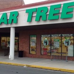 Dollar Tree ico