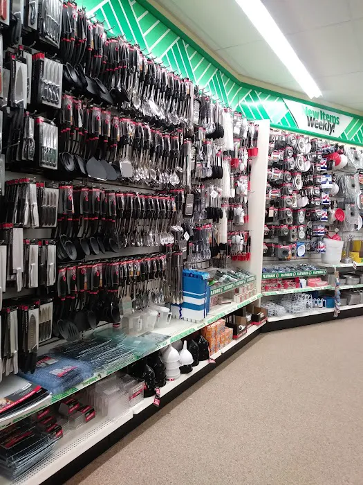 Dollar Tree 9