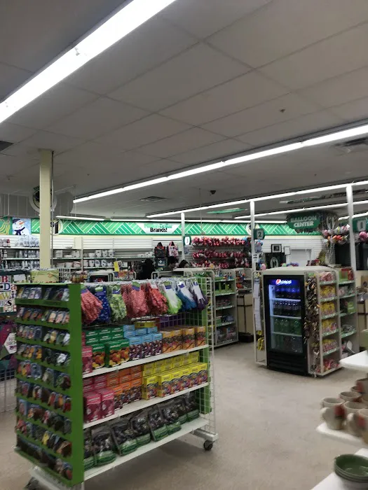 Dollar Tree 1