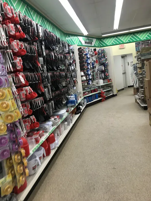 Dollar Tree 7