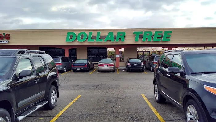 Dollar Tree 8