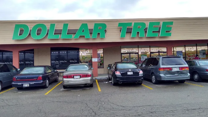 Dollar Tree 3