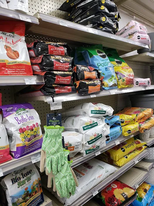 Dorn Ace Hardware 3