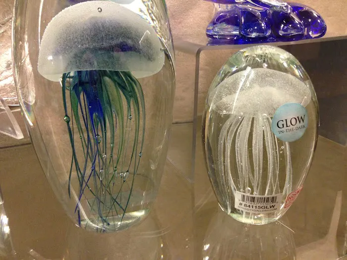 University Hospital Flower and Gift Shop 8