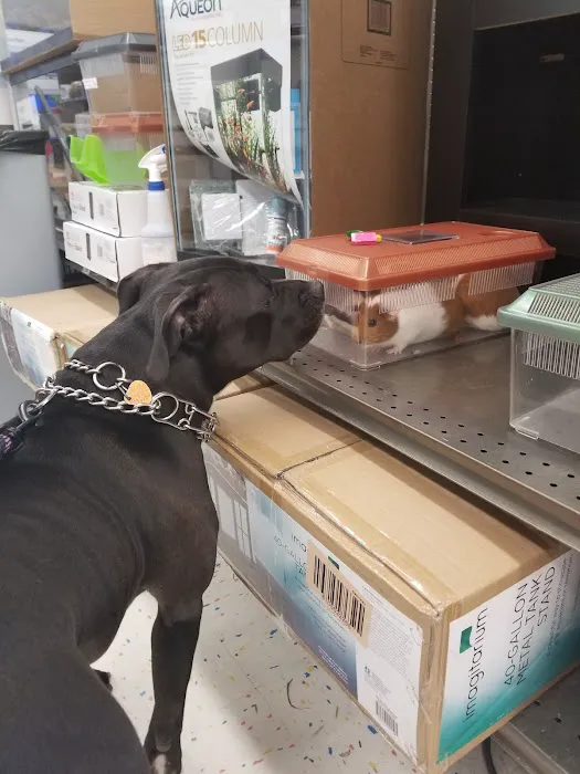 Petco 0