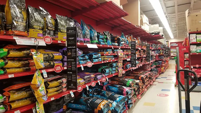 Petco 7