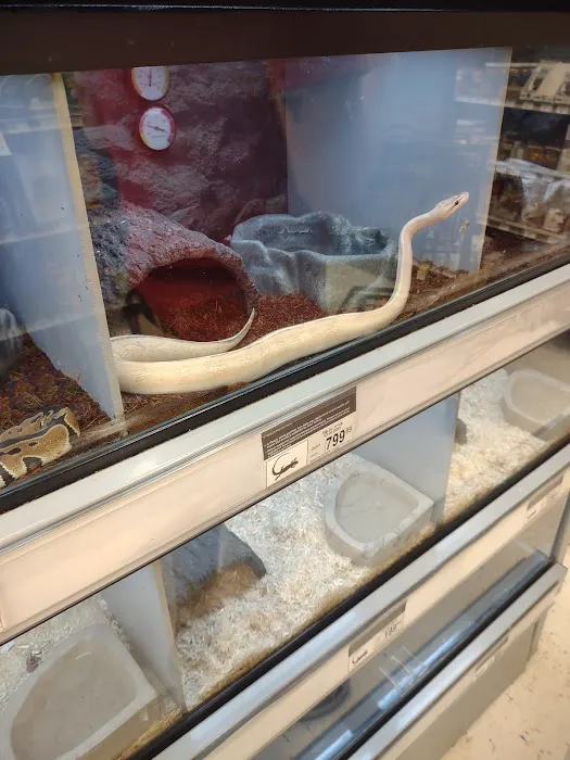 Petco 5