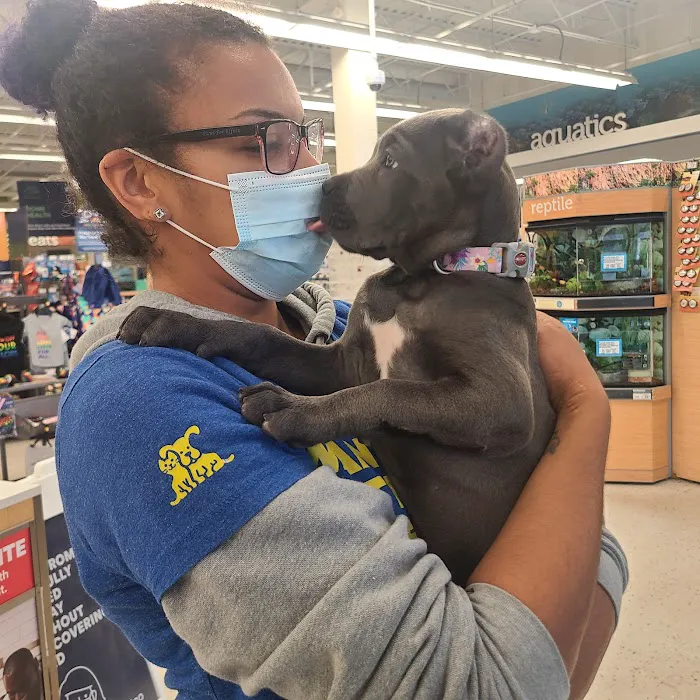 Petco 8