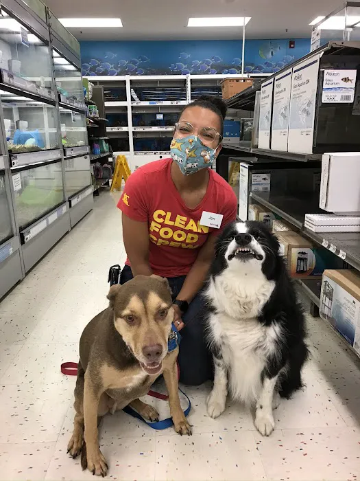 Petco 9