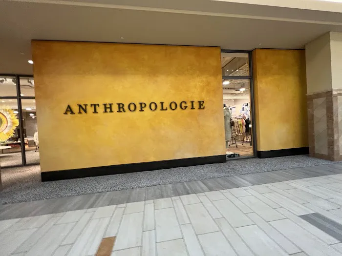 Anthropologie 2