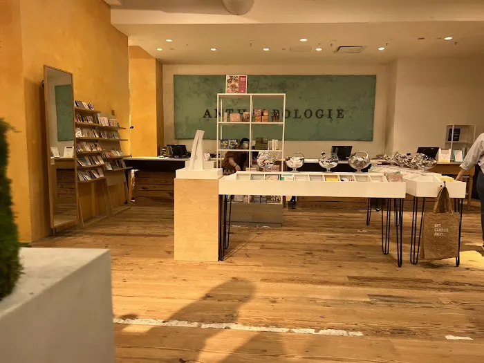 Anthropologie 5