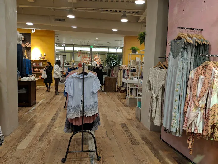 Anthropologie 1