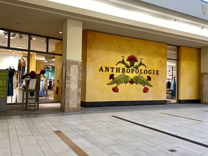 Anthropologie 4