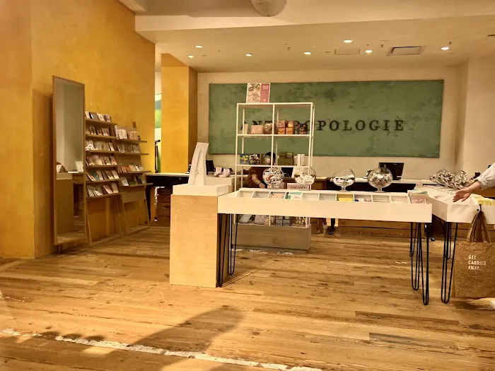 Anthropologie 3