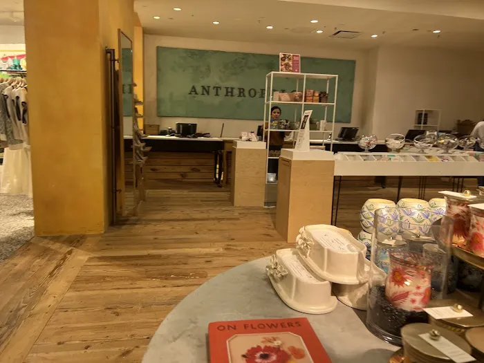 Anthropologie 6