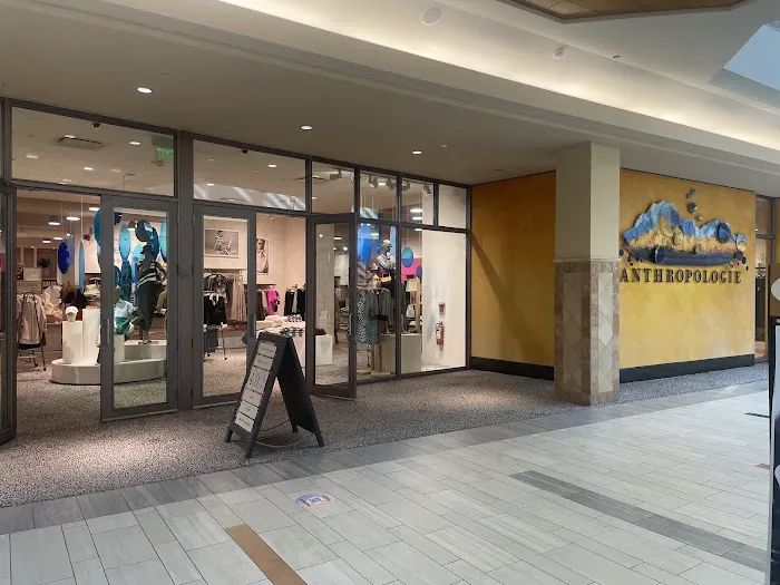 Anthropologie 8