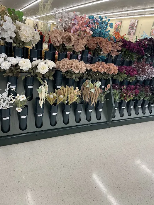 Hobby Lobby 6