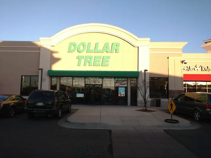 Dollar Tree 8