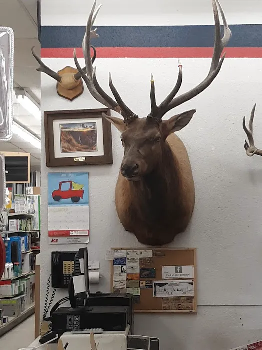 Abel's Ace Hardware 5