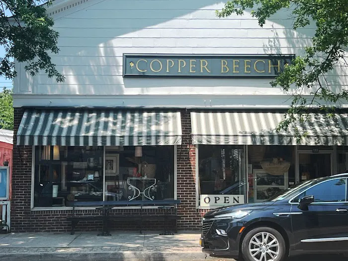 Copper Beech 0