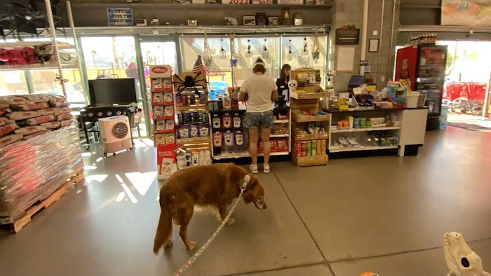 Ace Hardware 2