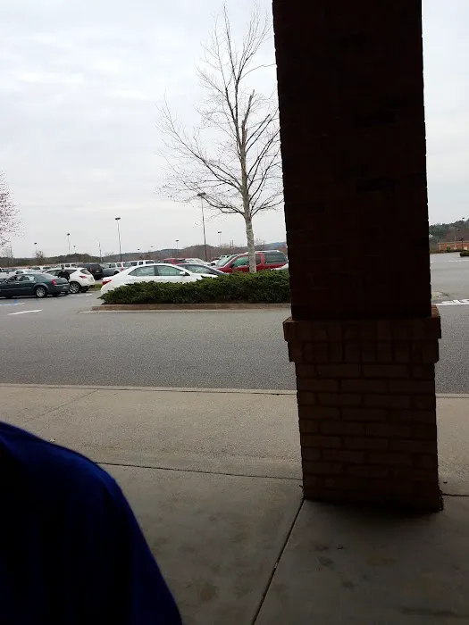 bealls 7