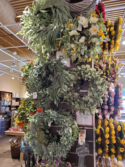 Kirkland's 6